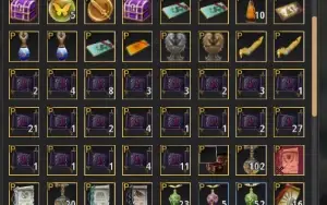 Conta BDO SA 819 GS lvl 60