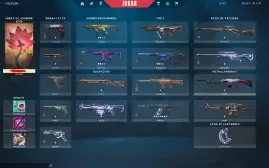 Conta Valorant Diamante 2 Com Skins