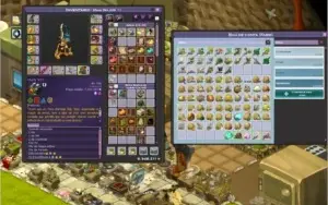 Wakfu - conta upada com set cra 200 completo