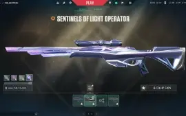 Conta Valorant ex imortal 4K gastos
