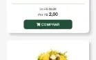 Script Completo  Site de Loja Virtual  Pagamentos Automático