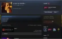 Vendo conta steam, com COD BO3, GTA V, PUBG, 400H no DotA 2