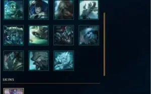 CONTA PLATINA I COM 65% DE WR.