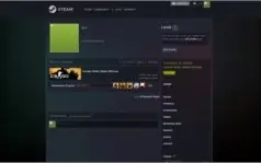 CONTA CS GO PRIME - LVL 17 GC 243 HORAS DE JOGO