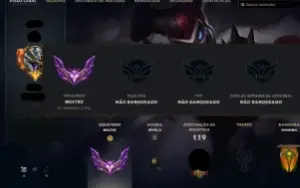 Conta Mestre 15Skins 65Champs