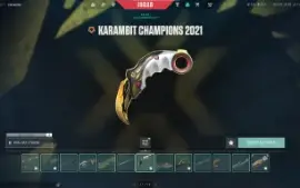 Conta valorant LV alto com muita skin