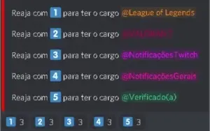 CONFIGURO DISCORD COMPLETO E CONFIGURO BOTS