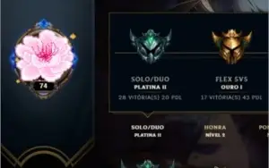 conta 74 platsoloq