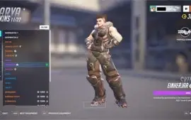 ACC OW2 LIMITED SKINS + 1085 OWL TOKENS