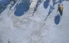 Conta Frozen War