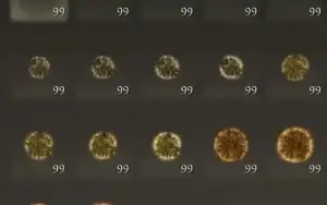 139 Milhões De Runas + Brindes (Elden Ring - Pc - Steam)