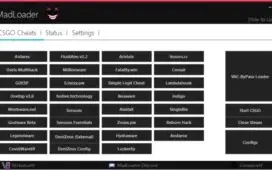 CSGO LOADER PREMIUM PRIVATE