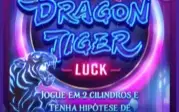 Viper +Tema Chinês + Instalação+ Api
