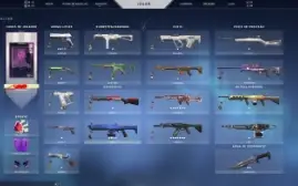 Conta desde o beta +700 Reais em Skins ex IMORTAL