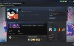 Conta csgo ouro 4, 300 hrs, steam level 19 + outros jogos