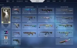 Conta Valorant - Platina 2 com varias skins. 3 FACAS TOPS