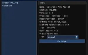 AIMBOT CONFIGURÁVEL - VALORANT - LIFETIME