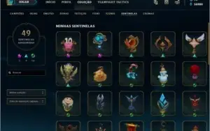 R$1300 gastos, 126 skins, 49 de sentinela, 188 ícones