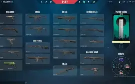 Conta Full Acesso Valorant ( Imortal 2) (Barata)!