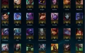 Conta com 65 Campeos