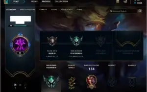 Conta Platina 3 - 48 Champs - 15 Skins
