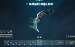 CONTA VALORANT COM R$953 REAIS GASTOS, KARAMBIT SAQUEADORA