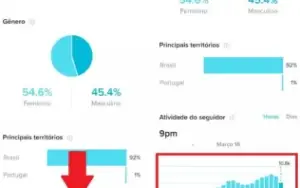 Pacote engajamento TikTok