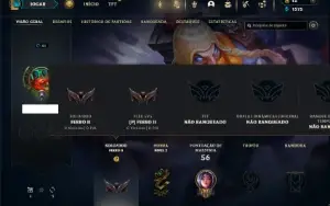 Ferro 2 com 31 Champs e 6 Skins + 2 Fragmentos