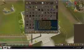 runescape 3, max e perfect cape no banco
