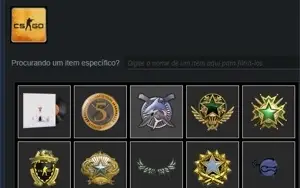 CONTA PRIME CS GO - LV 102 STEAM - 5000 HORAS - Counter Stri