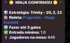 🤖Ninja Da Roleta Bot🤖