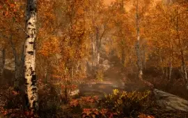 🟣 🦇 The Elder Scrolls V Skyrim: Special Edition 🟣 🦇