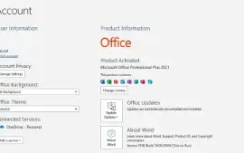 Pacote Office 2021 Pro Ativação Vitalícia