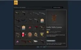 Conta CS GO TOP 15 medalhas e com muita skin + 49 jogos TOP