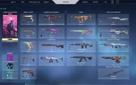 Conta de VALORANT +950 reais gastos! RGX Butterfly!