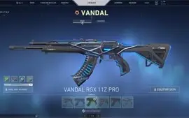 Conta de VALORANT +950 reais gastos! RGX Butterfly!