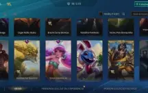 Conta de wild Rift