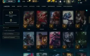 Unranked com 75 Champs e 2 Skins