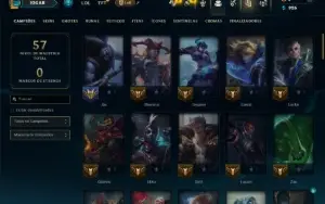 Unranked com 75 Champs e 2 Skins