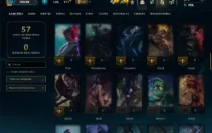 Unranked com 75 Champs e 2 Skins