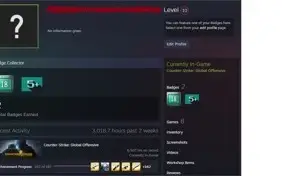 CONTA OLD STEAM 19anos criada em 2003 + 6500hrs CSGO/NVL 10