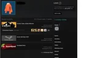 CONTA PRIME CSGO