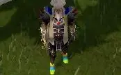 Combat Level 111 free / 99 mage + itens