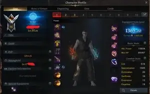 Striker Lv. 54 + 1365ilvl +2  alts T3+ 2 alts T2