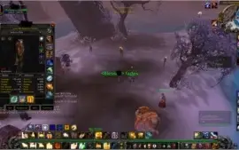 VENDO CONTA DE WOW BRASIL HUNTER E PALA