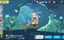 Honkai Impact endgame nv88 + Honkai Star Rail endgame nv65