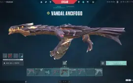 Ct Valorant Com Cards Do Beta/Com Mais De 1800 Reais Gastos