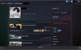 CS:GO PRIME | ÁGUIA 1 | LV 2 STEAM