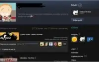 Conta Steam level 4 cs.go ak cruzada