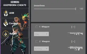 Valorant Aim Assist Br (Atualizado) 1 DIA 20R$